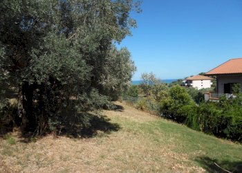 Foto 5 - Terreno edificabile Via Tassenara
31, Tortoreto - foto 5