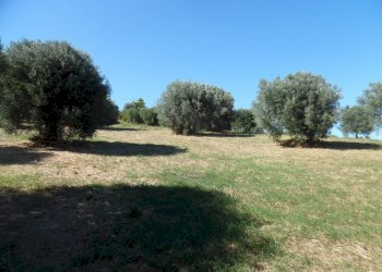 Foto 8 - Terreno edificabile Via Tassenara
31, Tortoreto - foto 8