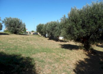 Foto 9 - Terreno edificabile Via Tassenara
31, Tortoreto - foto 9