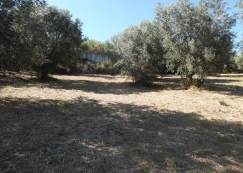 Foto 12 - Terreno edificabile Via Tassenara
31, Tortoreto - foto 12