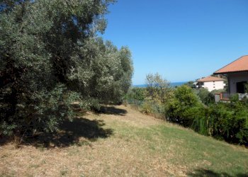 Foto 13 - Terreno edificabile Via Tassenara
31, Tortoreto - foto 13