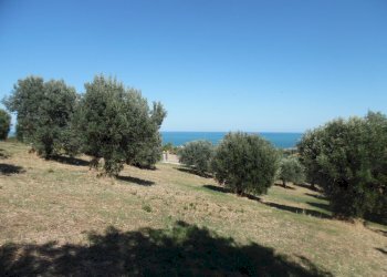 Foto 15 - Terreno edificabile Via Tassenara
31, Tortoreto - foto 15