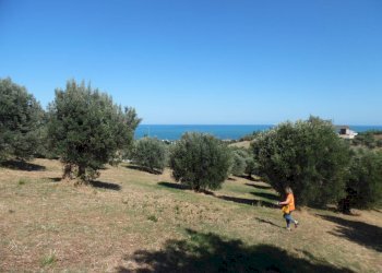 Foto 16 - Terreno edificabile Via Tassenara
31, Tortoreto - foto 16