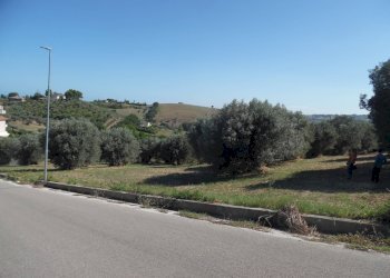 Foto 24 - Terreno edificabile Via Tassenara
31, Tortoreto - foto 24