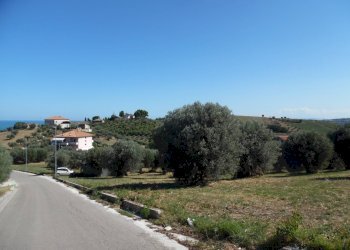 Foto 28 - Terreno edificabile Via Tassenara
31, Tortoreto - foto 28