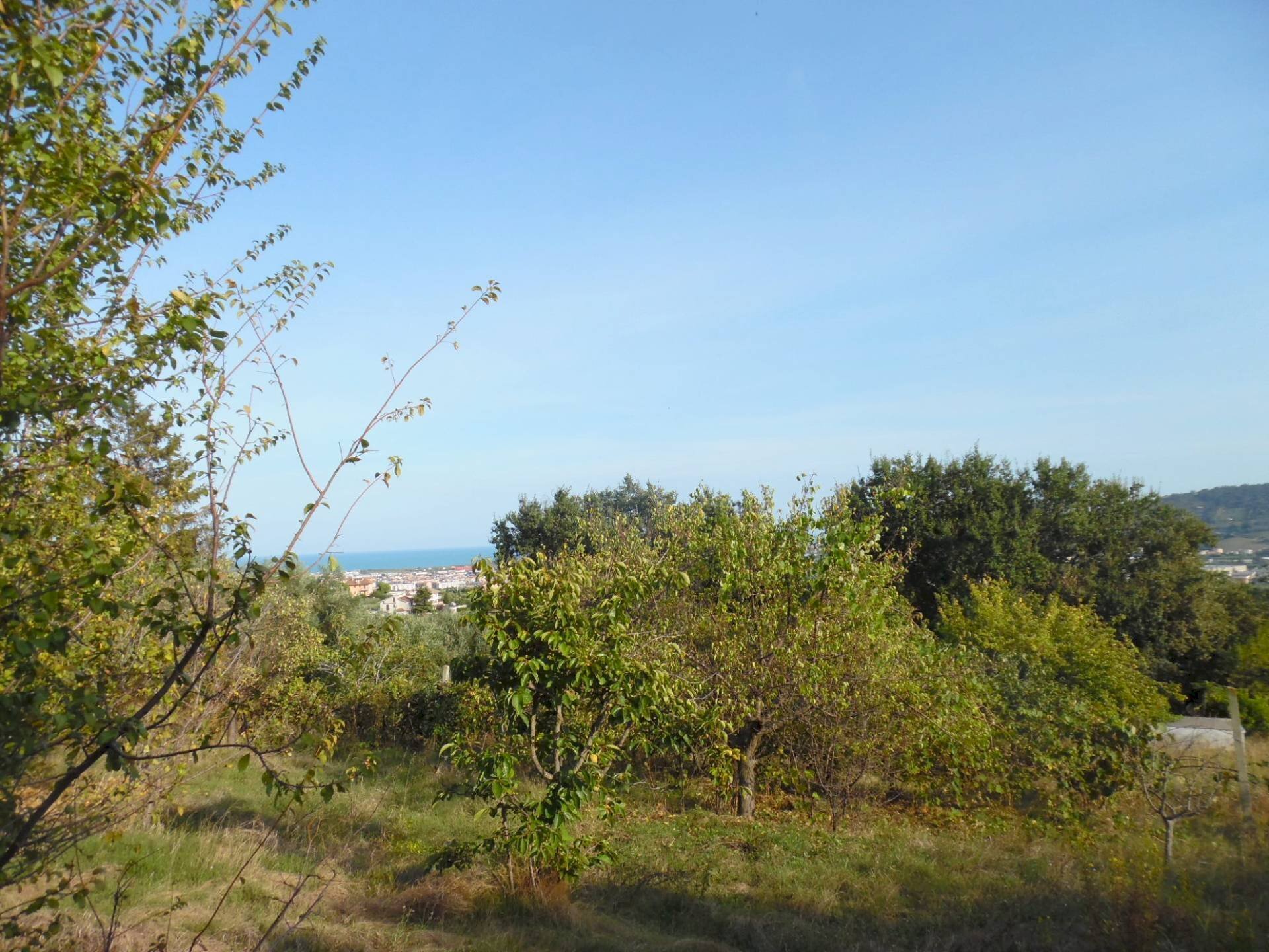 Foto 3 - Building land Contrada San Donato, Monteprandone - photo 3