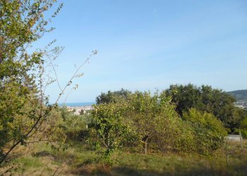 Foto 3 - Terreno edificabile Contrada San Donato, Monteprandone - foto 3