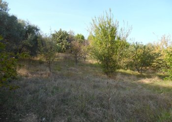 Foto 4 - Terreno edificabile Contrada San Donato, Monteprandone - foto 4