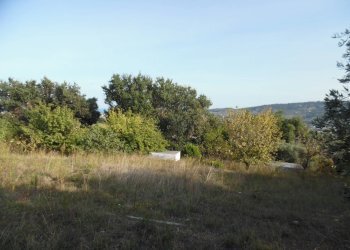 Foto 5 - Terreno edificabile Contrada San Donato, Monteprandone - foto 5