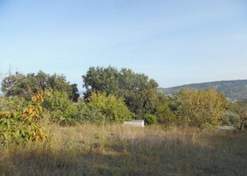 Foto 6 - Terreno edificabile Contrada San Donato, Monteprandone - foto 6