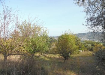 Foto 7 - Terreno edificabile Contrada San Donato, Monteprandone - foto 7