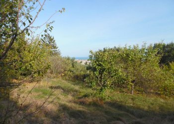 Foto 8 - Terreno edificabile Contrada San Donato, Monteprandone - foto 8