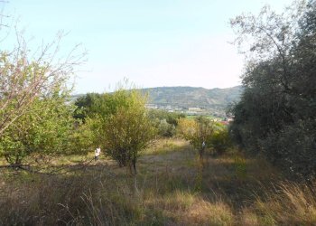 Foto 10 - Terreno edificabile Contrada San Donato, Monteprandone - foto 10