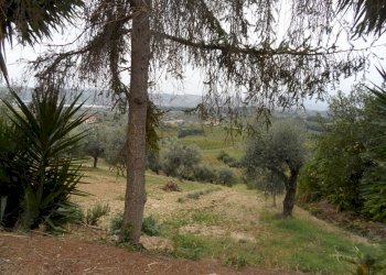 Foto 1 - Agricultural land Via Borgo da sole, Monteprandone - photo 1