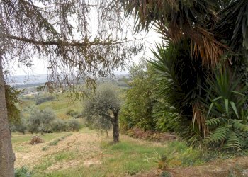 Foto 3 - Agricultural land Via Borgo da sole, Monteprandone - photo 3