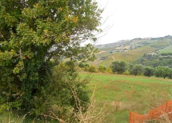 Foto 1 - Agricultural land Via Colle Appeso, Monteprandone - photo 1