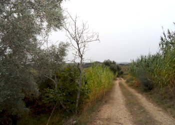 Foto 1 - Terreno agricolo Via Colle Appeso, Monteprandone - foto 1