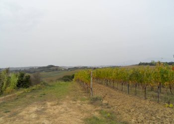 Foto 3 - Terreno agricolo Via Colle Appeso, Monteprandone - foto 3