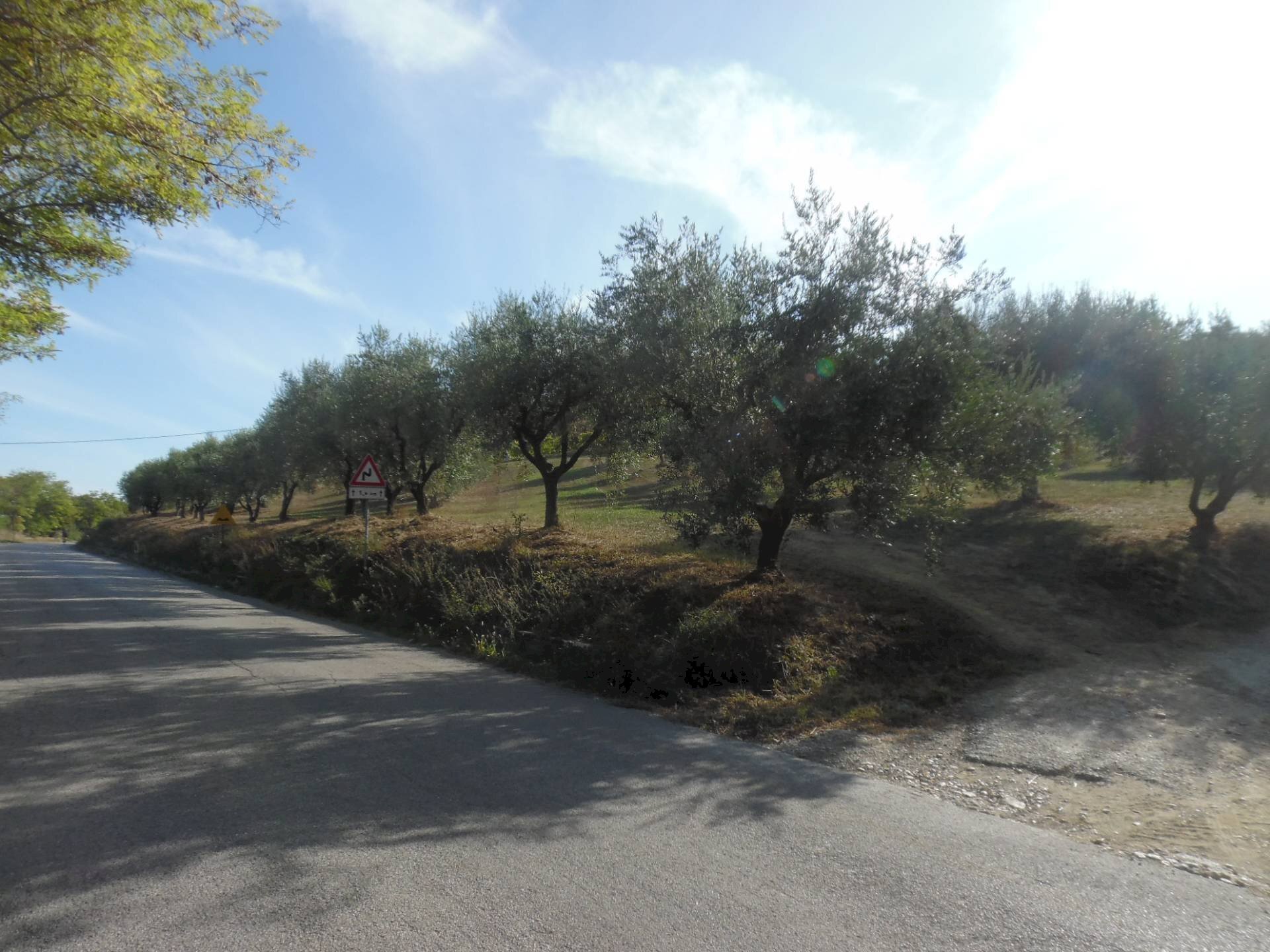 Foto 3 - Agricultural land Contrada Coste Tronto, Controguerra - photo 3