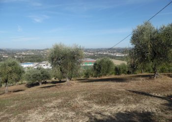 Foto 14 - Agricultural land Contrada Coste Tronto, Controguerra - photo 14