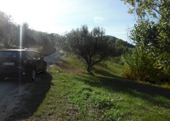 Foto 18 - Agricultural land Contrada Coste Tronto, Controguerra - photo 18