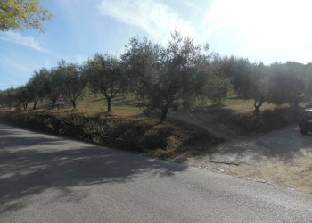 Foto 19 - Agricultural land Contrada Coste Tronto, Controguerra - photo 19