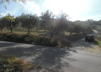 Foto 20 - Agricultural land Contrada Coste Tronto, Controguerra - photo 20