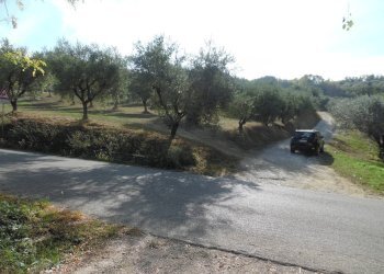 Foto 21 - Agricultural land Contrada Coste Tronto, Controguerra - photo 21