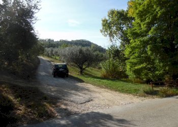 Foto 22 - Agricultural land Contrada Coste Tronto, Controguerra - photo 22