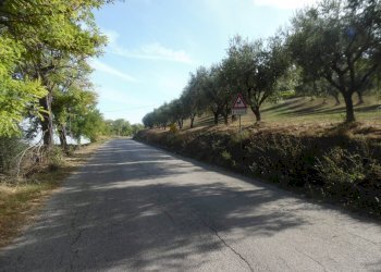 Foto 23 - Agricultural land Contrada Coste Tronto, Controguerra - photo 23