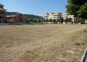 Foto 5 - Terreno edificabile Via  G. Amendola, Pedaso - foto 5