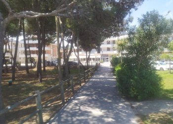 Foto 15 - Trilocale Via delle Regioni, Alba Adriatica - foto 15