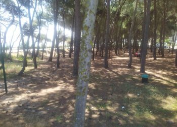 Foto 16 - Trilocale Via delle Regioni, Alba Adriatica - foto 16