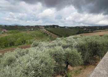 Foto 7 - Rustic Contrada Spiagge, Monteprandone - photo 7