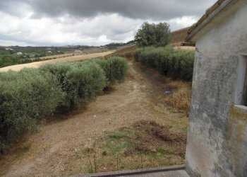 Foto 8 - Rustic Contrada Spiagge, Monteprandone - photo 8