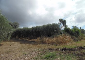 Foto 19 - Rustic Contrada Spiagge, Monteprandone - photo 18