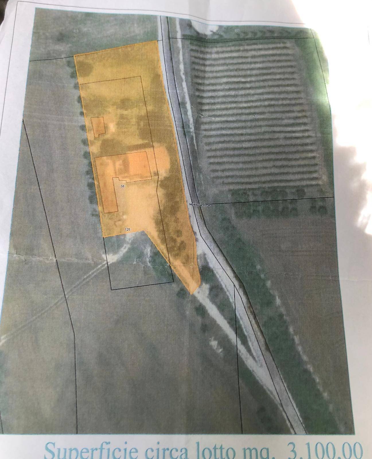 Foto 12 - Rustic Via Monterone, Monteprandone - floor plans 1