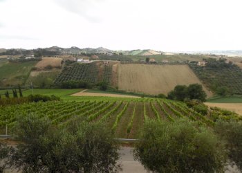 Foto 19 - Rustic Via Monterone, Monteprandone - photo 18