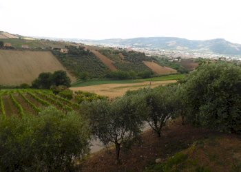 Foto 20 - Rustic Via Monterone, Monteprandone - photo 19