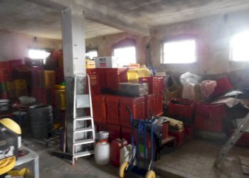 Foto 32 - Rustic Via Monterone, Monteprandone - photo 31