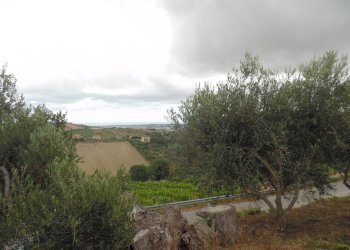 Foto 39 - Rustic Via Monterone, Monteprandone - photo 38