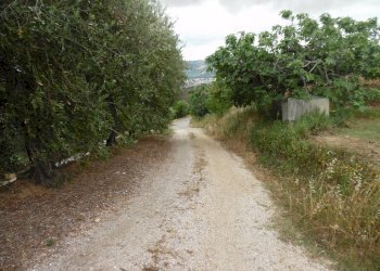 Foto 48 - Rustic Via Monterone, Monteprandone - photo 47