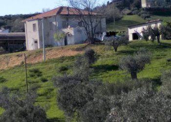 Foto 5 - Rustico Via Panoramica, Tortoreto - foto 5