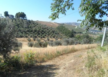 Foto 15 - Rustico Via Panoramica, Tortoreto - foto 15