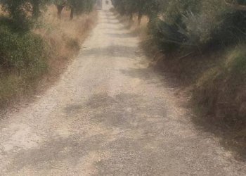 Foto 12 - Rustico Via Panoramica, Tortoreto - foto 12