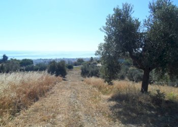 Foto 18 - Rustico Via Panoramica, Tortoreto - foto 18