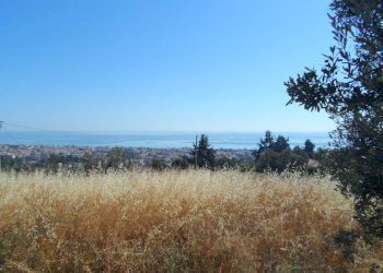 Foto 19 - Rustico Via Panoramica, Tortoreto - foto 19