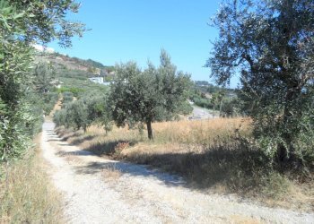 Foto 38 - Rustico Via Panoramica, Tortoreto - foto 38