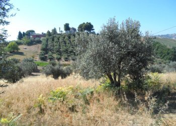 Foto 39 - Rustico Via Panoramica, Tortoreto - foto 39