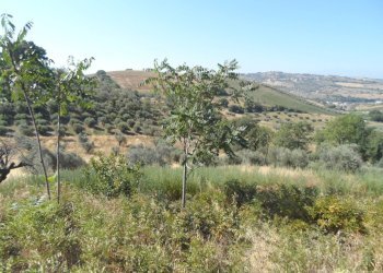 Foto 40 - Rustico Via Panoramica, Tortoreto - foto 40